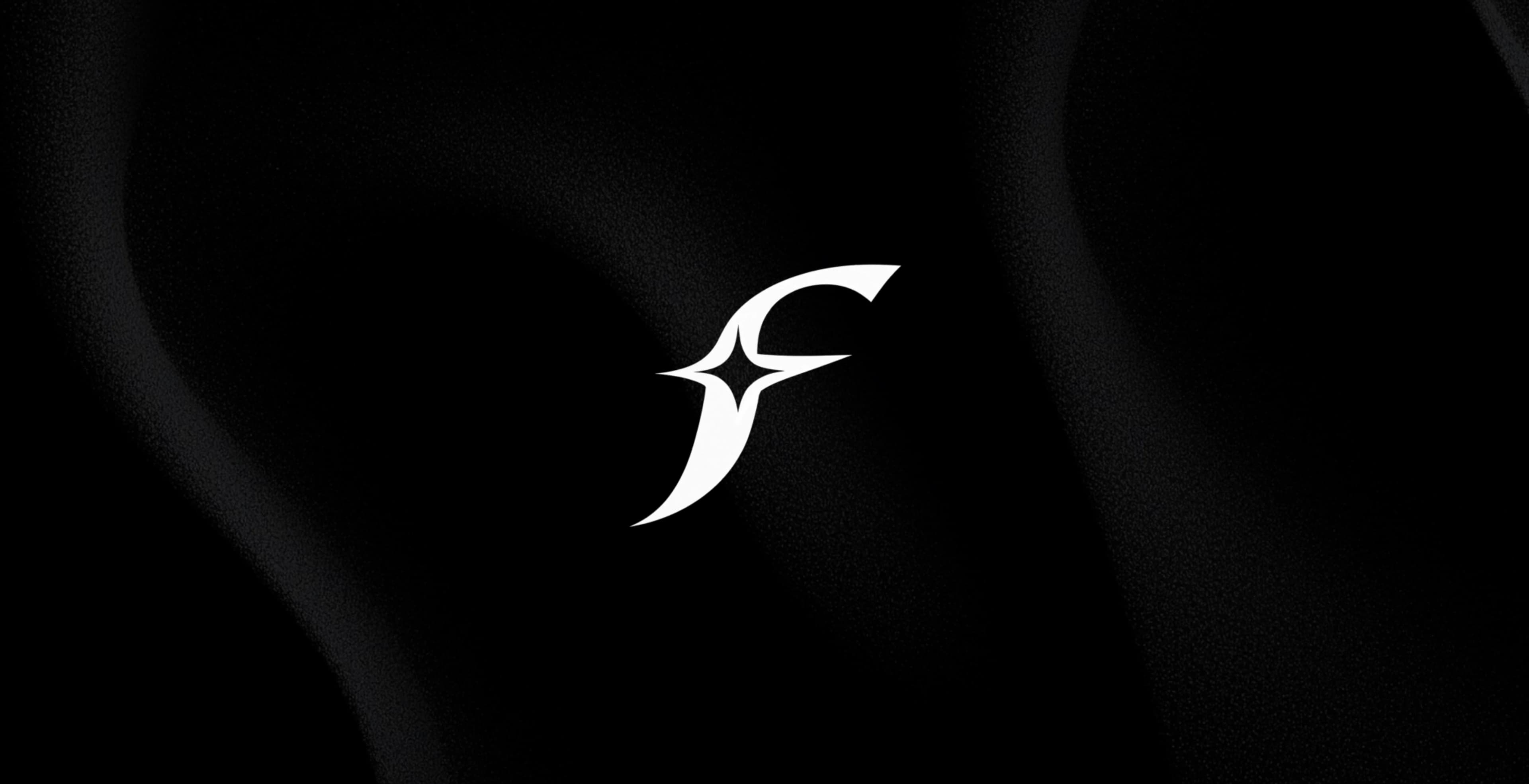 f-solve Premium Web & Product Studio Concept project screenshot